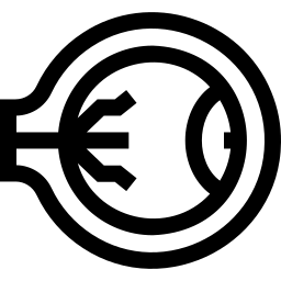 Video Consultation Icon