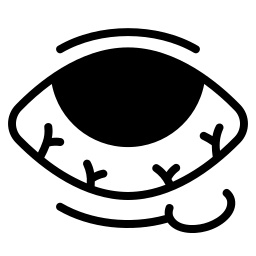 Video Consultation Icon