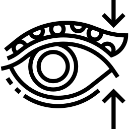 Video Consultation Icon